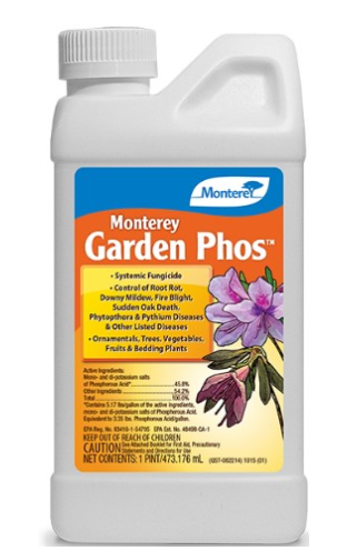MONTEREY GARDEN PHOS PT