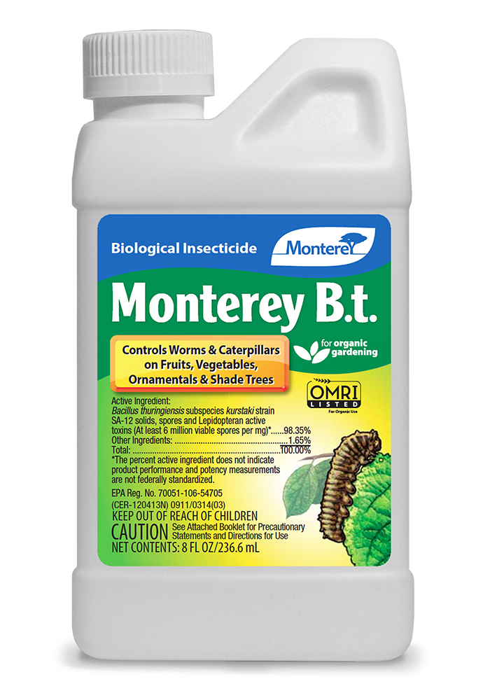 Monterey LG6328 B.t. Concentrate, 8oz