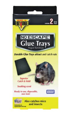 RAT GLUE TRAYS, 2/PK