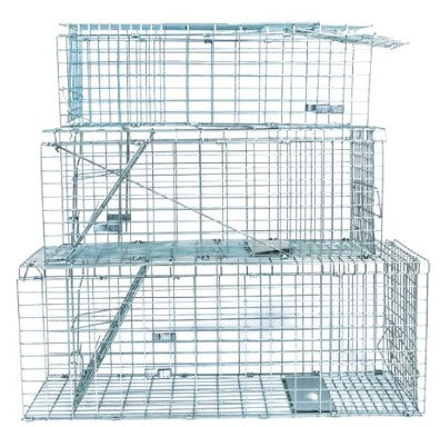 MEDIUM COLLAPSIBLE LIVE TRAP