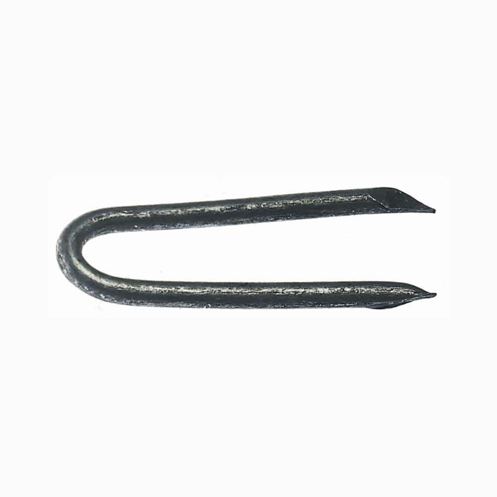 1-1/4" HG FENCE STAPLE 9GA [50LB]