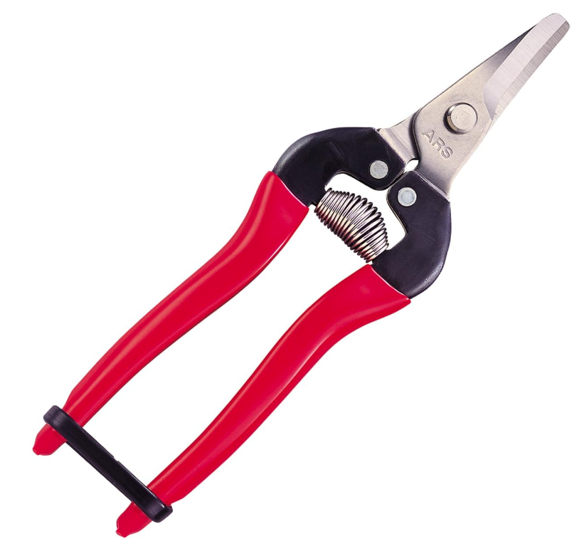 ROUNDED TIP CURVED FRUIT PRUNER, STAINLESS STEEL