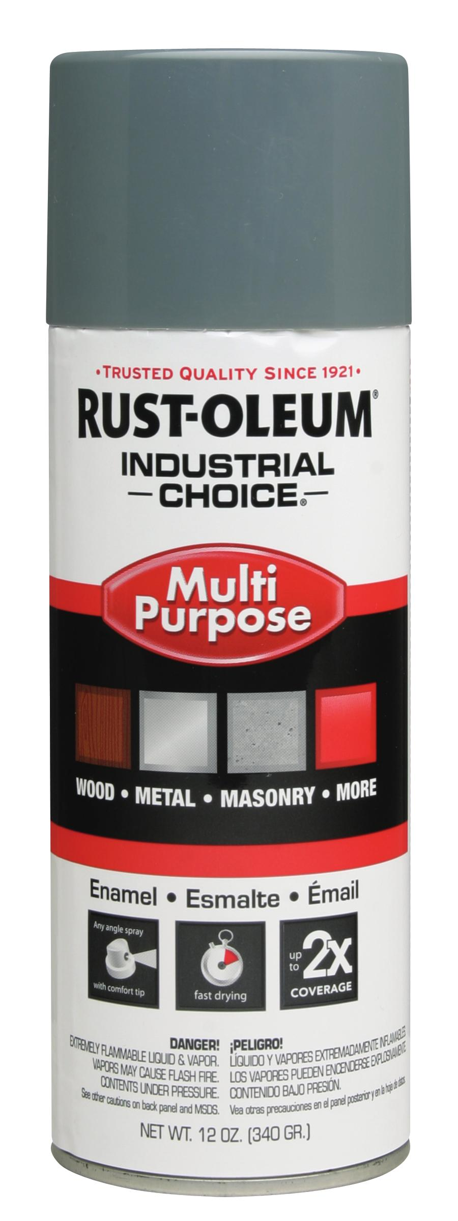 Rust-Oleum MULTI-PURPOSE ANSI 49, LT GRAY GLOSS, 12oz