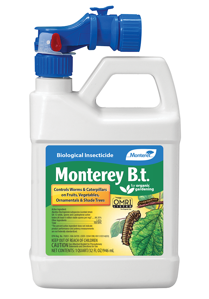 MONTEREY B.t. 32 OZ. RTS